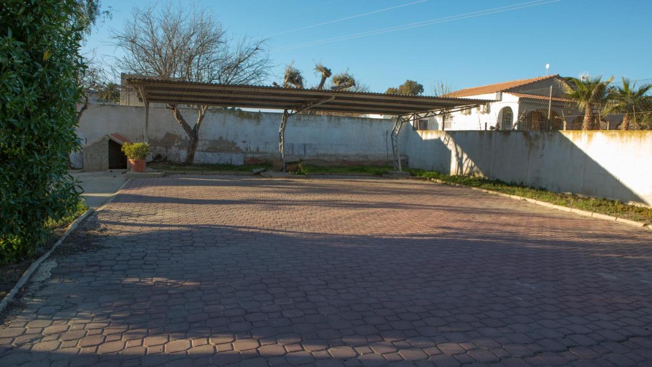 Estudio Adosado Con Jardin Y Parking Privado Alicante Eksteriør billede