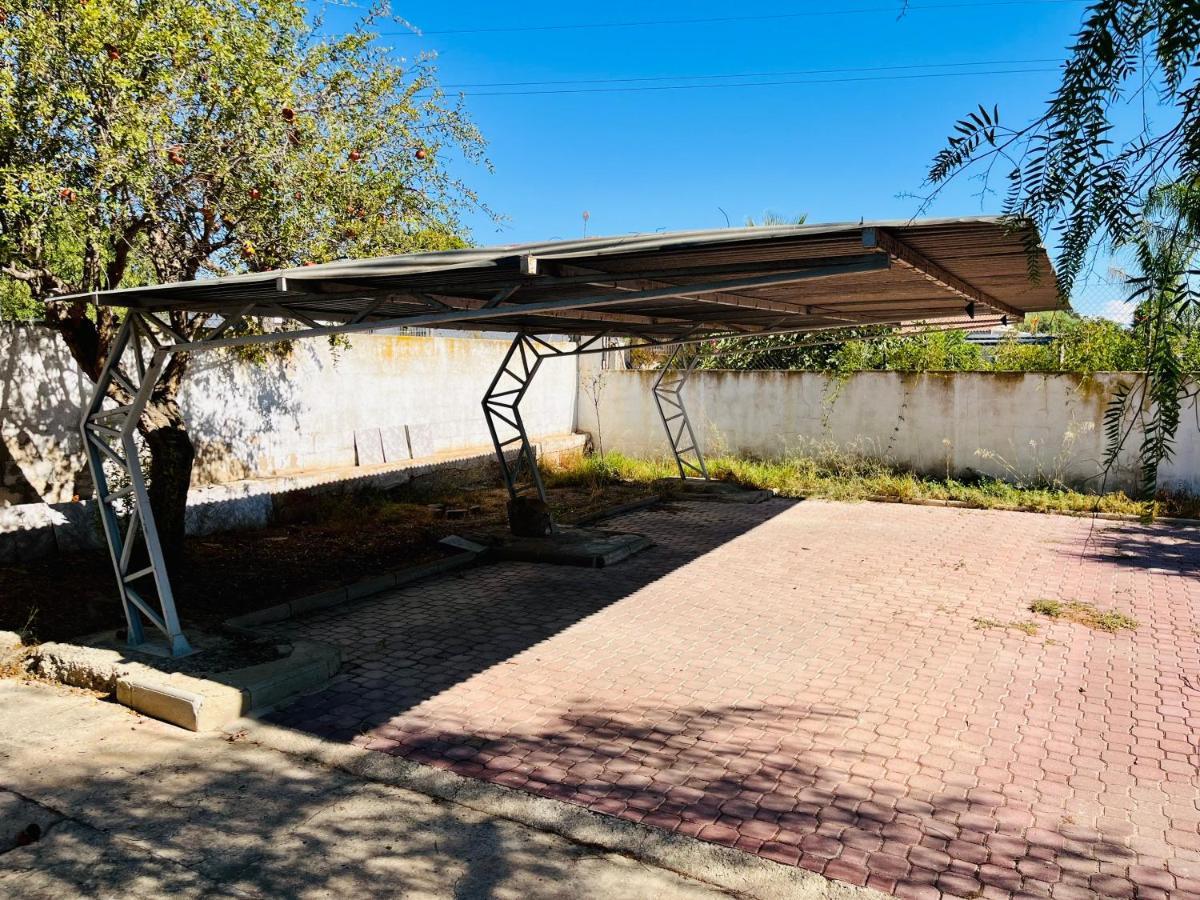 Estudio Adosado Con Jardin Y Parking Privado Alicante Eksteriør billede