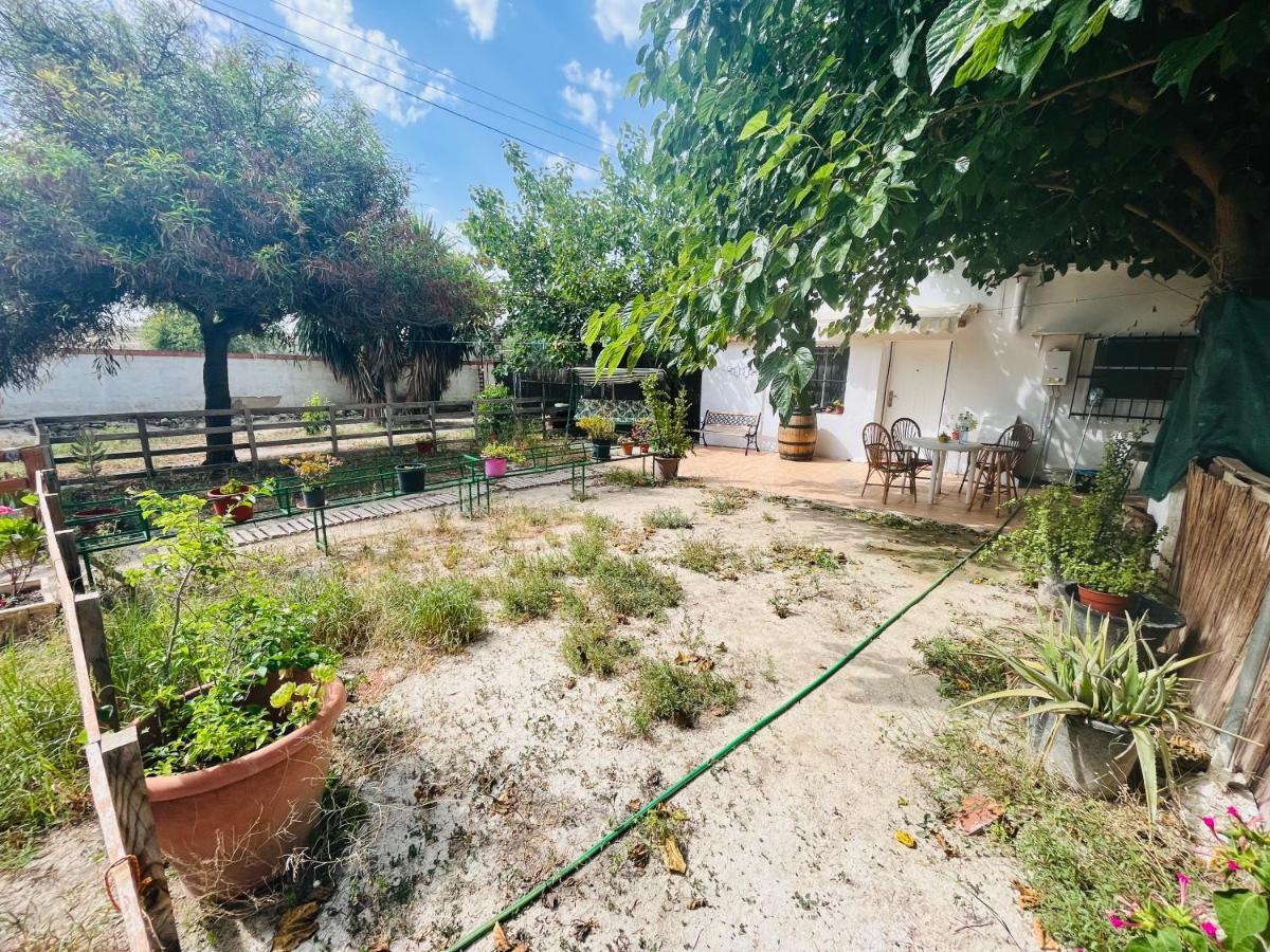 Estudio Adosado Con Jardin Y Parking Privado Alicante Eksteriør billede