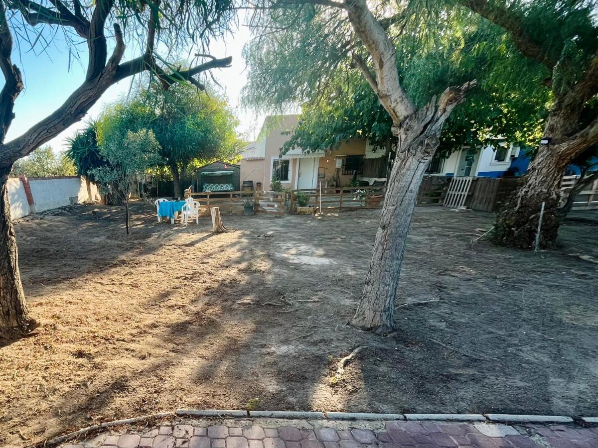Estudio Adosado Con Jardin Y Parking Privado Alicante Eksteriør billede